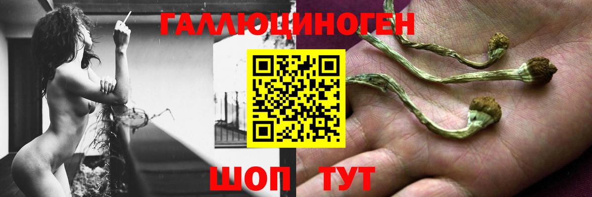 Псилоцибиновые грибы ЛСД  Вход с VPN  Ишим 